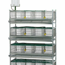 Cage automatique de ferme de caille de volaille de 6 couches la plus vendue à vendre